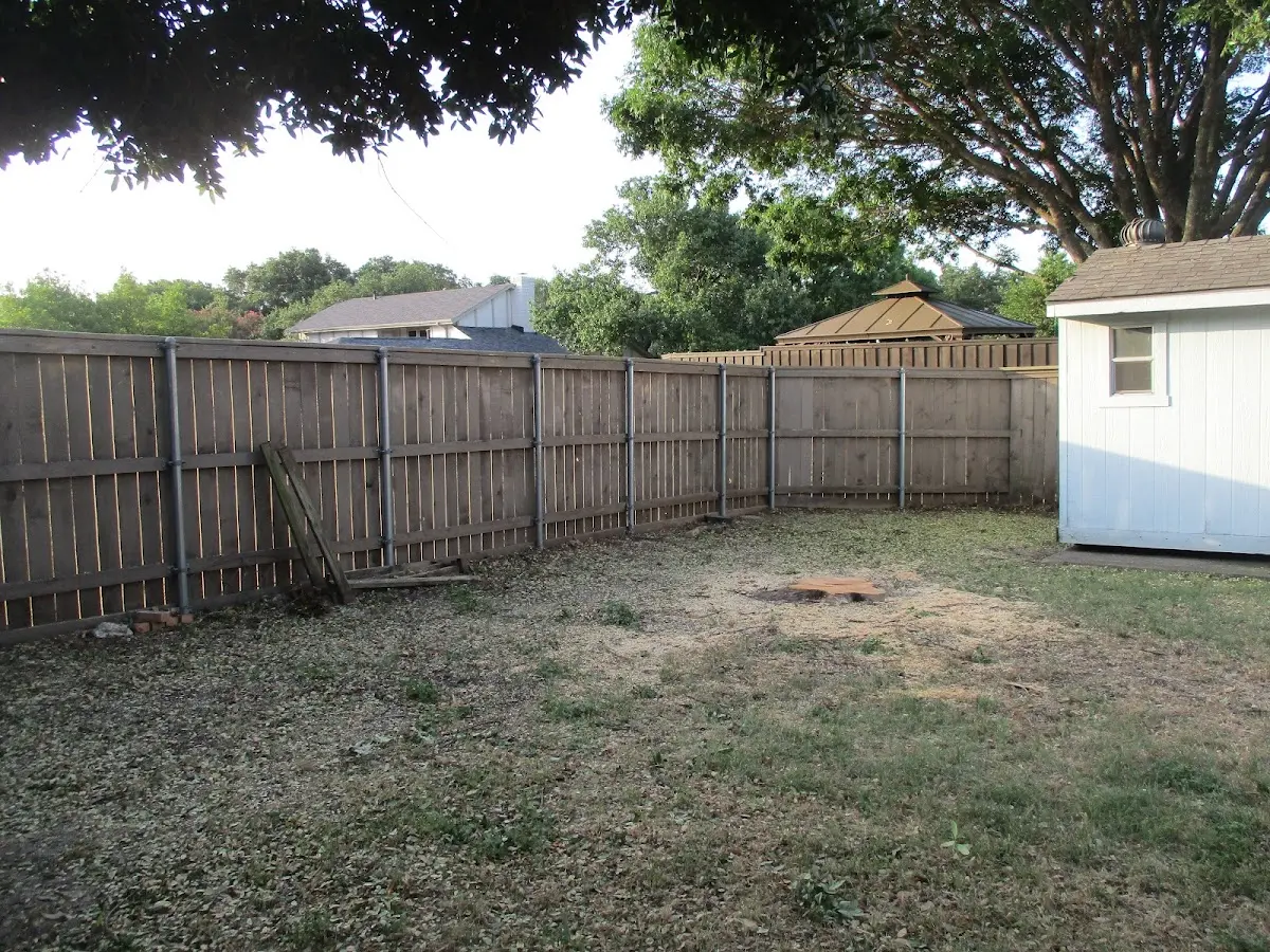 Cleared yard after professional tree removal in Amboy